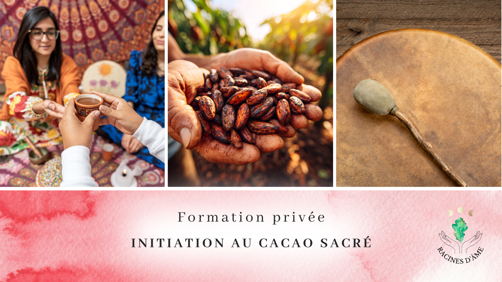 Initiation à la Médecine du Cacao