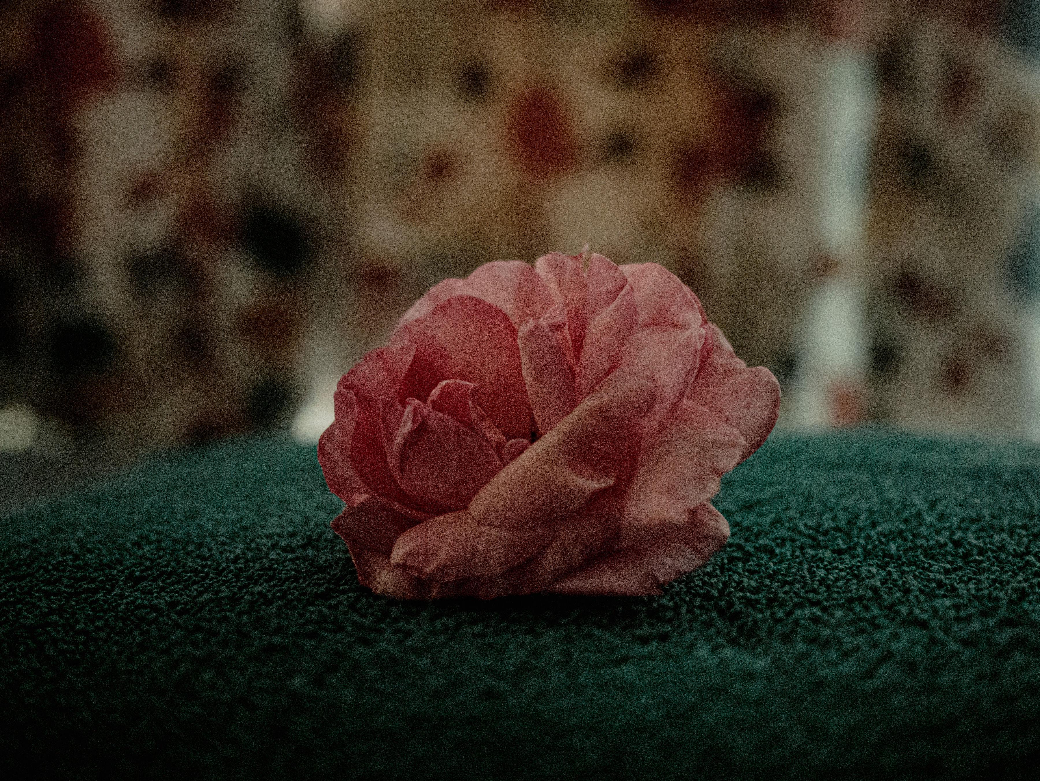 Background du rituel